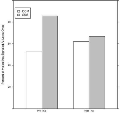 Male Field Cricket Songs Are Altered After Aggressive Interactions